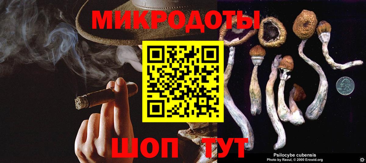 Псилоцибиновые грибы Архангельск