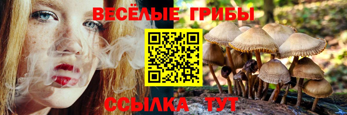 Псилоцибиновые грибы MAGIC MUSHROOMS  Вход с VPN  Архангельск  Галлюциногенные грибы мухоморы 